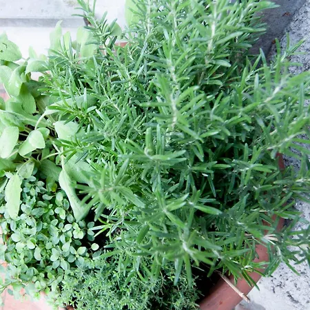 Urban Retreat - Ambrogiohost Болонья