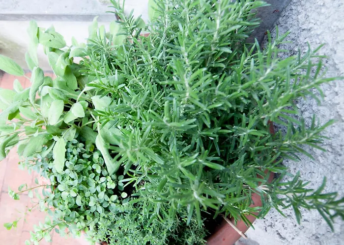 Urban Retreat - Ambrogiohost בולוניה